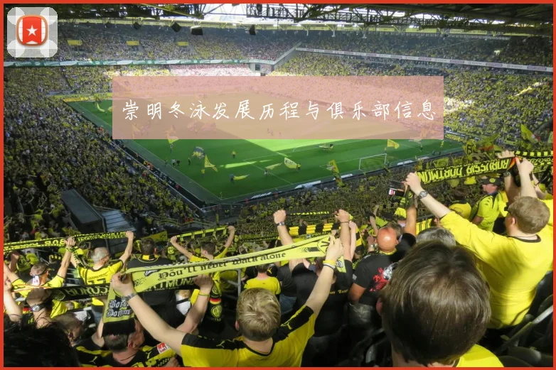 崇明冬泳发展历程与俱乐部信息