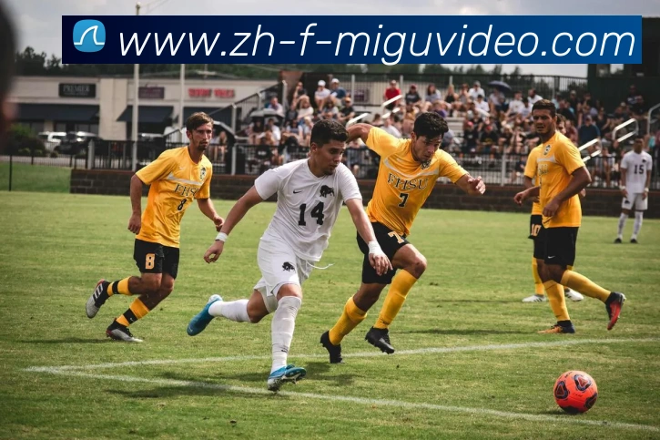 咪咕体育平台生态图