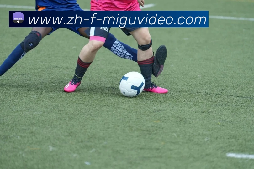 数据防护可视化